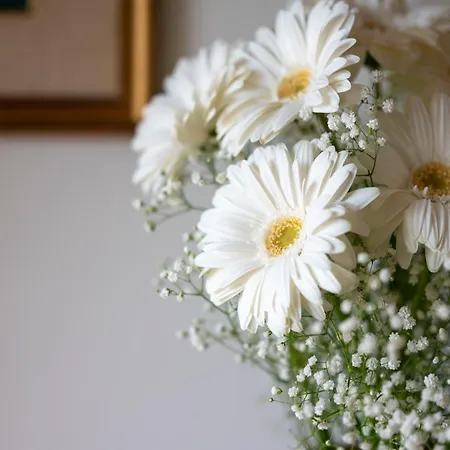 Ferienhaus Casa Rubina